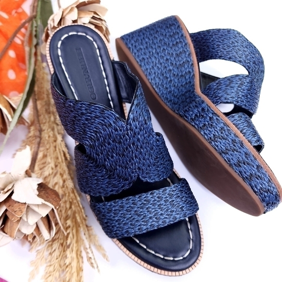 Bernardo Luxury Brand Blue Platform Wedge Sz 7m - Picture 7 of 10